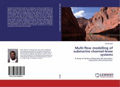 Multi-flow modelling of submarine channel-levee systems