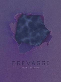 Crevasse - Wong, Nicholas