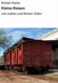 Kleine Reisen (eBook, ePUB)