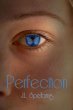 Perfection (eBook, ePUB) - Bild 1