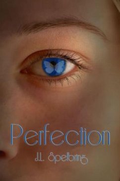 Perfection (eBook, ePUB) - Spelbring, Jl