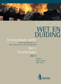 Wet en Duiding Verzekeringen (eBook, ePUB)