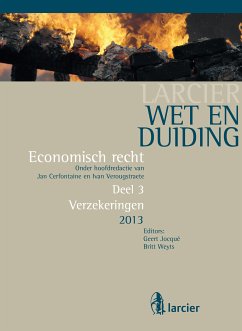 Wet en Duiding Verzekeringen (eBook, ePUB)