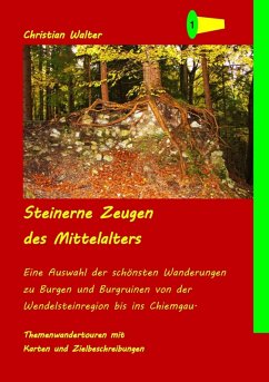 Steinerne Zeugen des Mittelalters (eBook, ePUB) - Walter, Christian