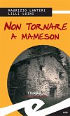 Non tornare a Mameson (eBook, ePUB)