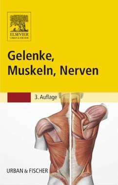 Gelenke, Muskeln, Nerven (eBook, ePUB) - Eggers, Reinhard; Otto, Kerstin; Reimann, Susanne