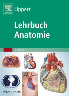 Lehrbuch Anatomie (eBook, ePUB) - Lippert, Herbert