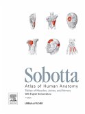Sobotta Tables of Muscles, Joints and Nerves, English (eBook, ePUB)
