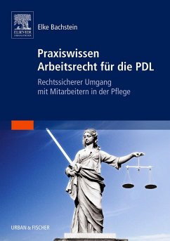 Praxiswissen Arbeitsrecht für die PDL (eBook, ePUB) - Bachstein, Elke