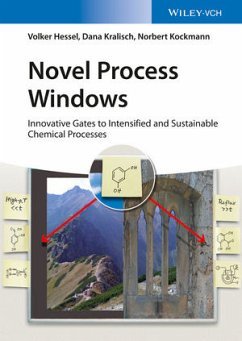 Novel Process Windows (eBook, PDF) - Hessel, Volker; Kralisch, Dana; Kockmann, Norbert
