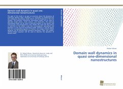 Domain wall dynamics in quasi one-dimensional nanostructures - Wieser, Robert