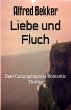 Liebe und Fluch (eBook, ePUB) - Bild 1
