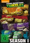 Teenage Mutant Ninja Turtles - Complete Season 1 Collection DVD-Box