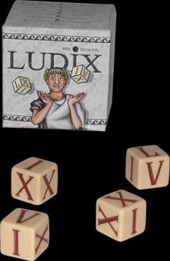 Ludix (Spiel)