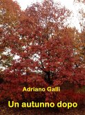 Un autunno dopo (eBook, ePUB)