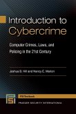 Introduction to Cybercrime