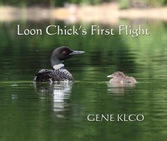 Loon Chick's First Flight - Klco, Gene