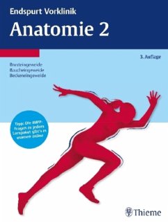 Anatomie