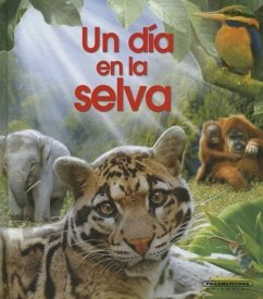 Un Da En La Selva- One Day in the Jungle