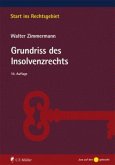 Grundriss des Insolvenzrechts