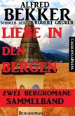 Liebe in den Bergen - Zwei Bergromane (eBook, ePUB)