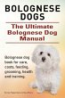 Bolognese Dogs. Ultimate Bolognese Dog... - Bild 1