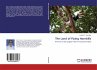 The Land of Flying Hornbills - Bild 1