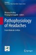 Pathophysiology of Headaches - Bild 1