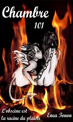 Chambre 101 - L'obscéne est la racine du plaisir (eBook, ePUB) - Tonon, Enea