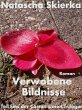 Verwobene Bildnisse (eBook, ePUB) - Bild 1