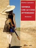 Sembra che le cose attendano (eBook, ePUB)