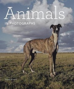 Animals in Photographs - Kovacs, Arpad