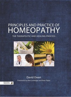 Principles and Practice of Homeopathy: The Therapeutic and Healing Process - Owen, David