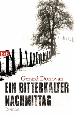 Ein bitterkalter Nachmittag (eBook, ePUB) - Donovan, Gerard