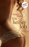 Ein heißer Job / Sexy Secretaries Bd.3 (eBook, ePUB)