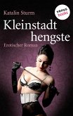 Kleinstadthengste (eBook, ePUB)