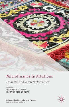 Microfinance Institutions (eBook, PDF)
