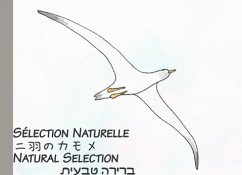 Natural Selection - Chaplier, Julien
