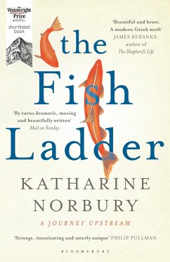 The Fish Ladder (eBook, ePUB) - Norbury, Katharine