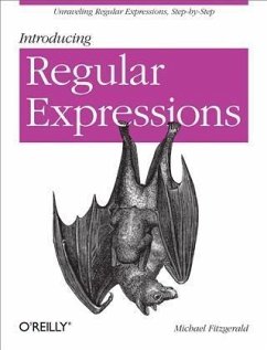 Introducing Regular Expressions (eBook, PDF) - Fitzgerald, Michael