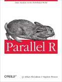 Parallel R (eBook, ePUB)