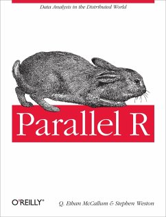 Parallel R (eBook, ePUB) - Mccallum, Q. Ethan