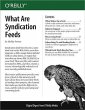 What Are Syndication Feeds (eBook, PDF) - Bild 1