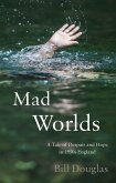 Mad Worlds (eBook, ePUB)