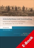 Arbeitsrhythmus und Anstaltsalltag (eBook, PDF)