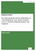 Die Natursymbolik und die Städtebilder in "Ode Heidelberg" und "Elegie Stutgard" von J. C. Friedrich Hölderlin Analyse und Vergleich (eBook, PDF)