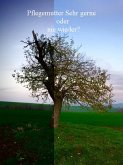 Pflegemutter - Sehr gerne oder nie wieder? (eBook, ePUB)