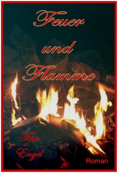 Feuer und Flamme (eBook, ePUB) - Engel, Tina