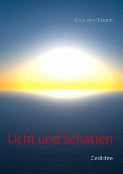 Licht und Schatten II (eBook, ePUB)