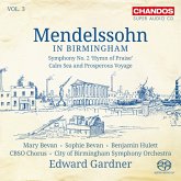 Mendessohn In Birmingham Vol.3